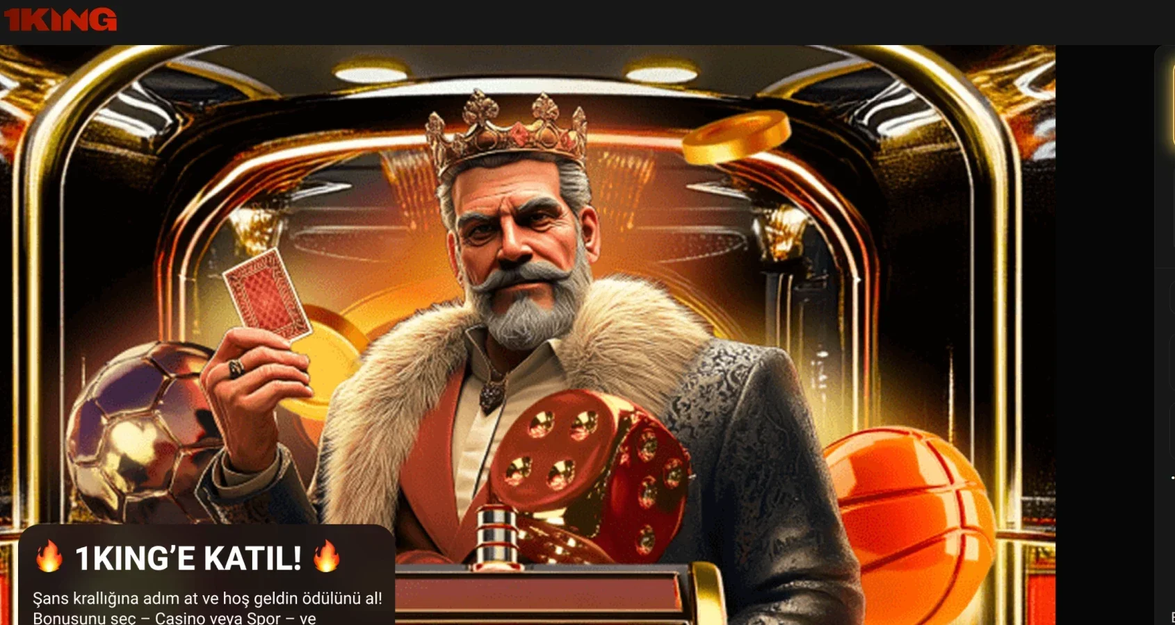 1king ekran görüntüsü